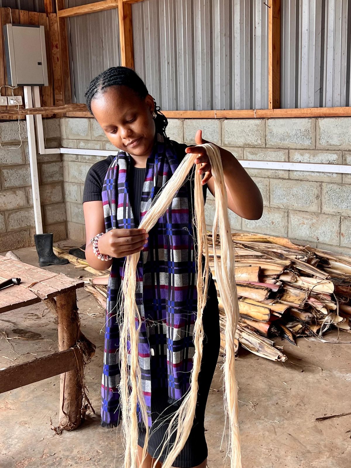 Banana Fibre (BF)